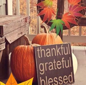 Meet your Posher, Ruthann